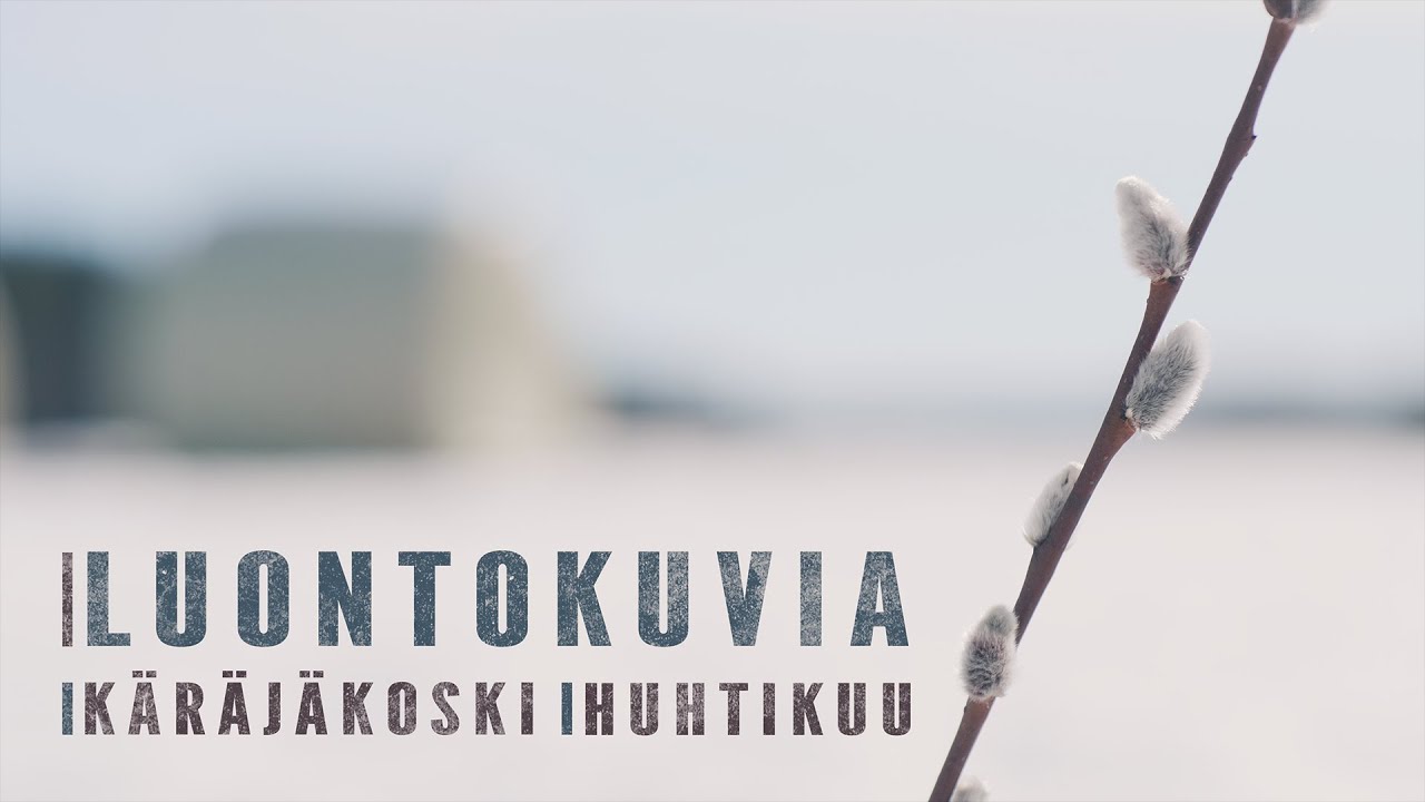 Luontokuvia - Riihim&auml;ki, K&auml;r&auml;j&auml;koski, huhtikuu | Nature in Finland April