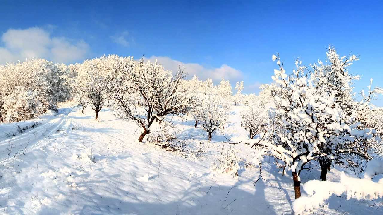Panpipe Christmas part 1