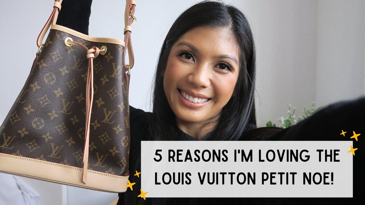 5 REASONS WHY I'M LOVING THE LOUIS VUITTON PETIT NOE | Michelle Orgeta