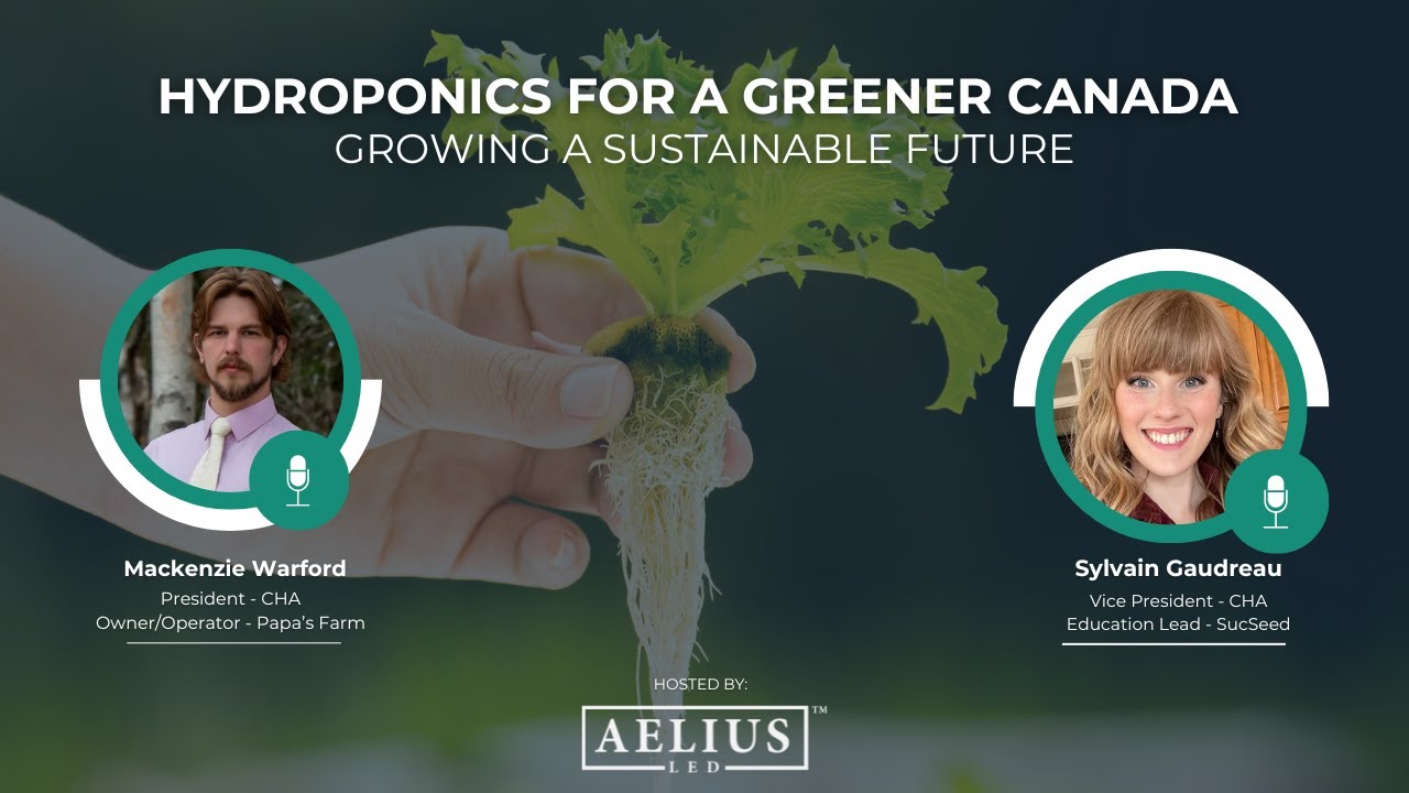 Aelius LED Dynamic Webinar Series 2025: Hydroponics for a Greener Future