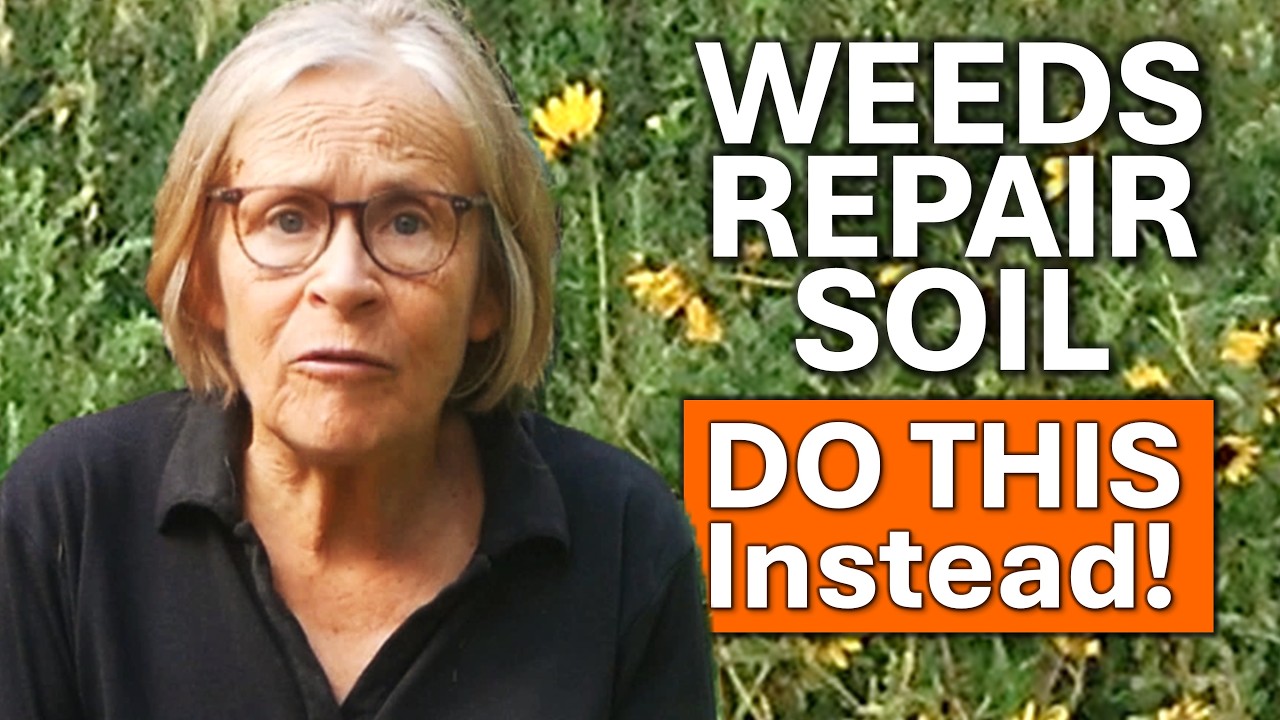 Easiest Way to Get Rid of Weeds! Eco-friendly and Long-Lasting Solution