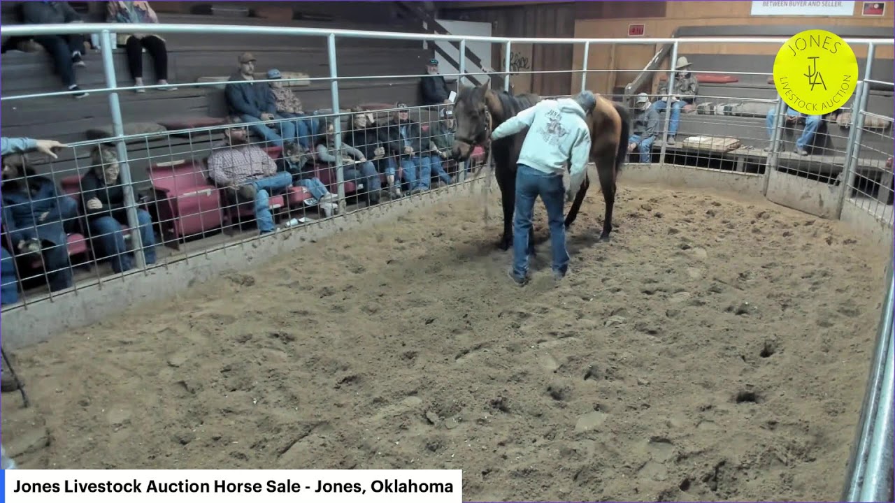 Jones Livestock Auction - Jones, Oklahoma