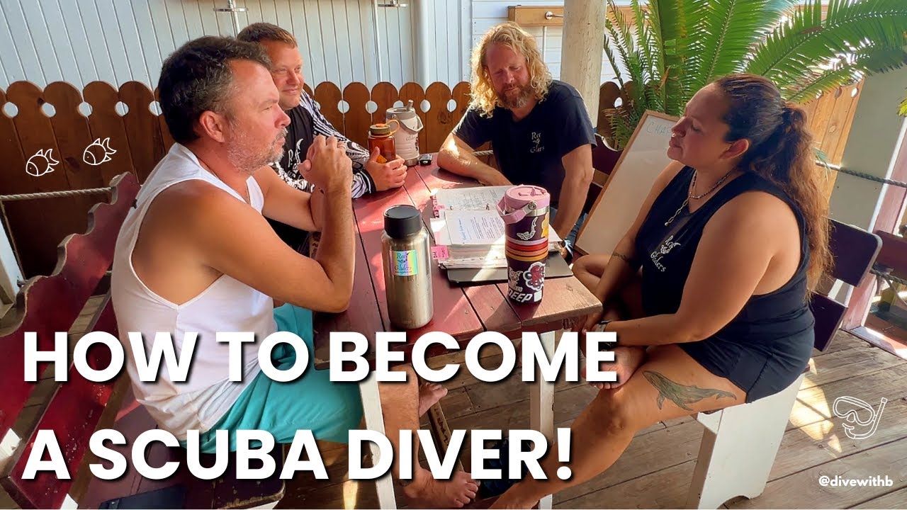 Как стать дайвером (пошаговое руководство для начинающих) | DIVEWITHB