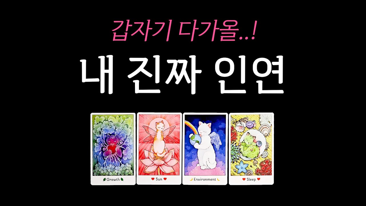 [타로] 갑자기 다가올 내 진짜 인연