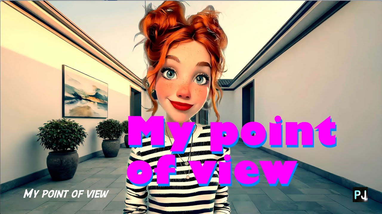 My point of view