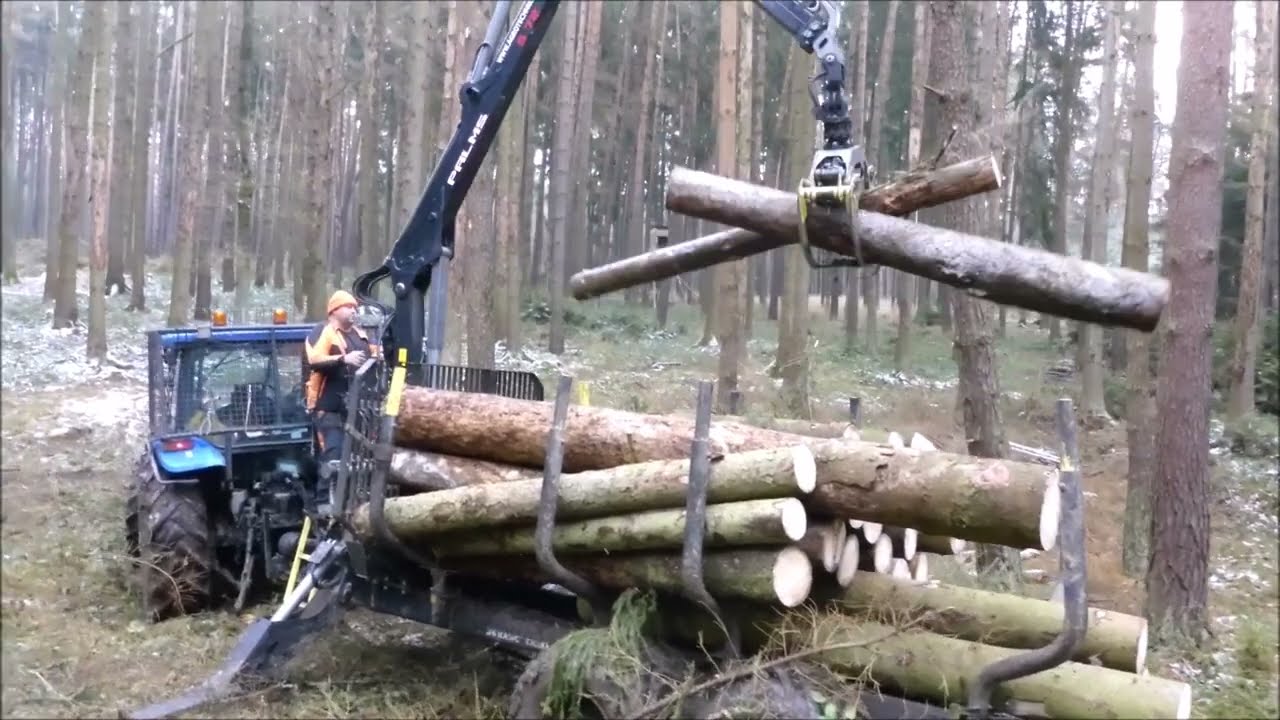 Forest job / Těžba a nakládání dřeva - Stihl 462 a New Holland T5070 #172