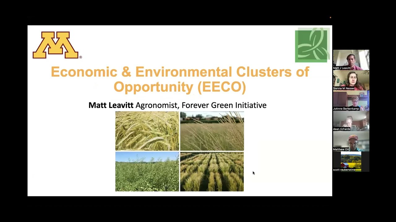 2023 June 7 Winter Camelina Grower Call