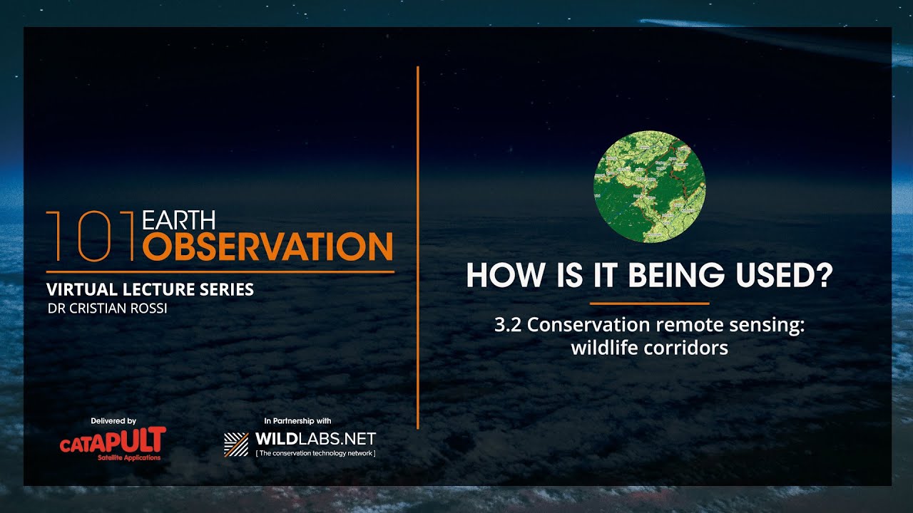 Earth Observation 101 - 3.2: Conservation remote sensing, wildlife corridors
