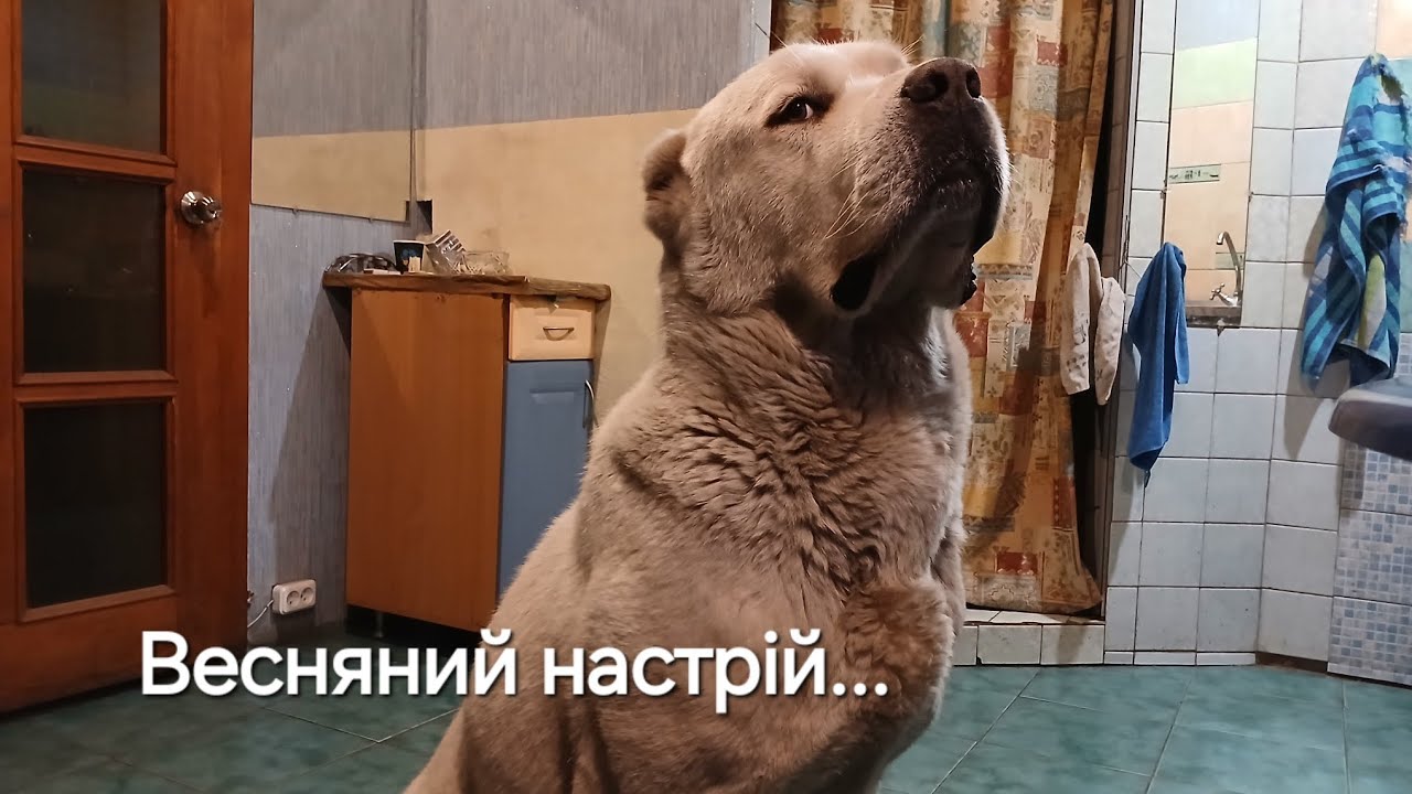 10 марта 2026 г.