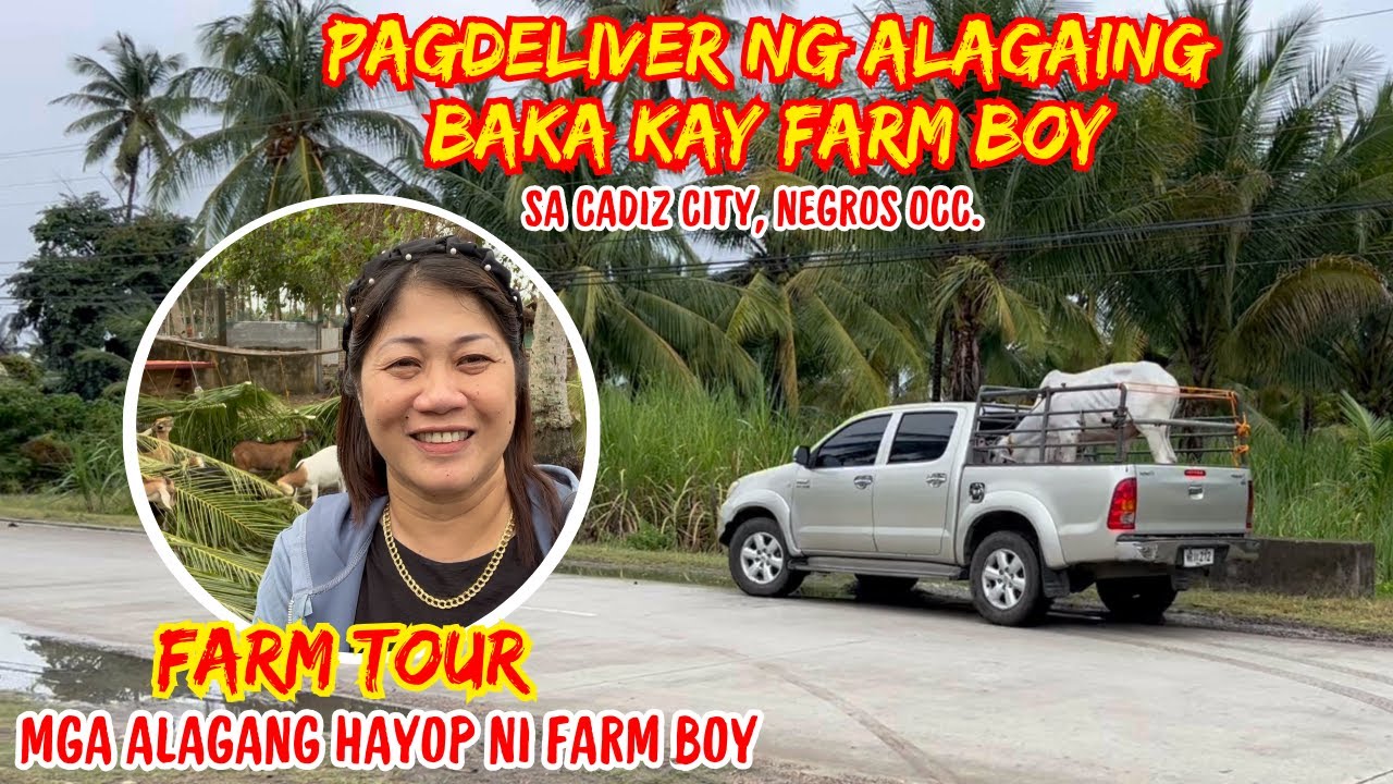PAGDELIVER NG ALAGAING BAKA KAY FARM BOY SA CADIZ CITY, NEG. OCC. | FARM TOUR| SOLLE'S GANDANG BUHAY