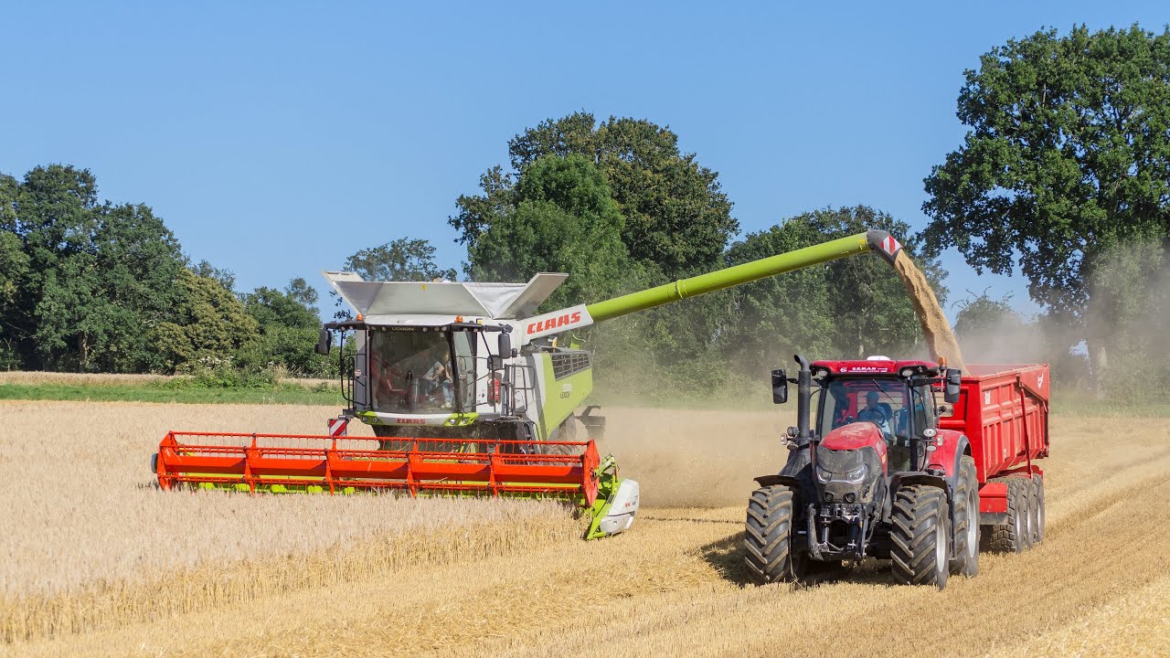Une Claas Lexion 7500 Terra-Trac à la moisson 2021! 👌