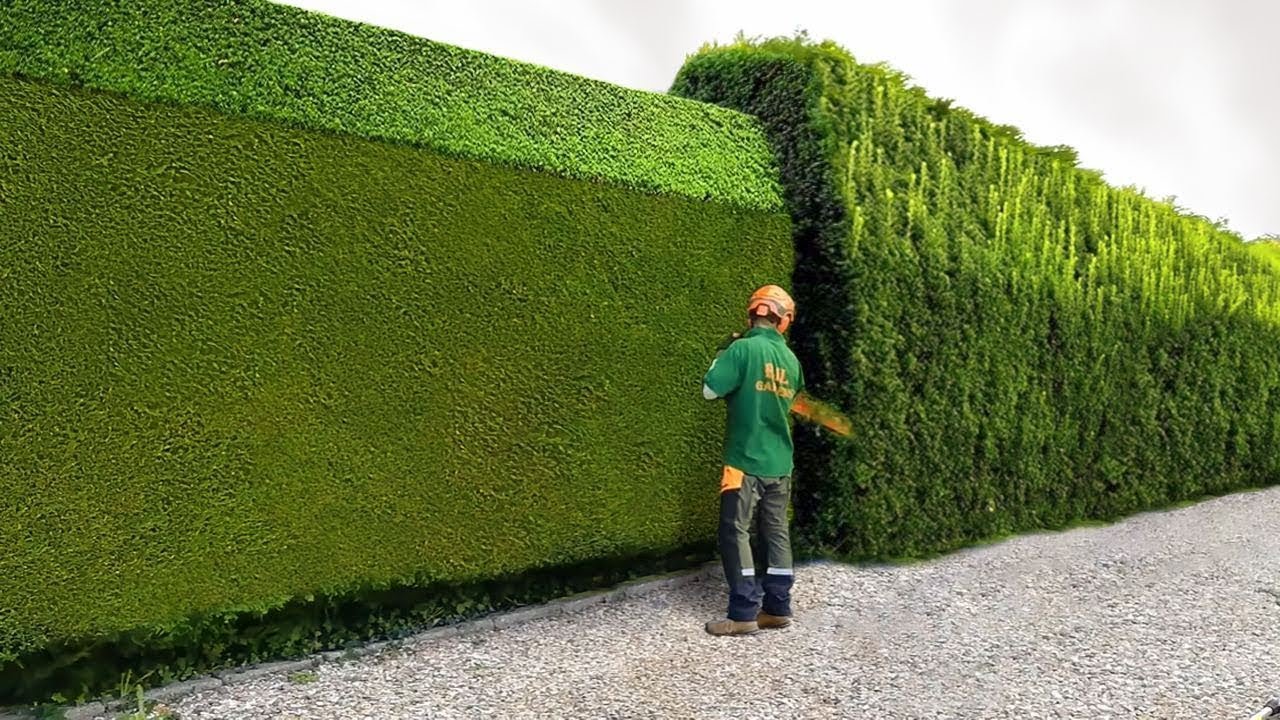 Perfect Job Skills That Will Make Your Boss Go Wild !