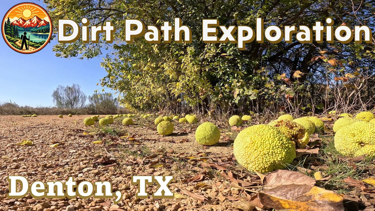 North Lakes Park | Denton, TX | Dirt Path Exploration