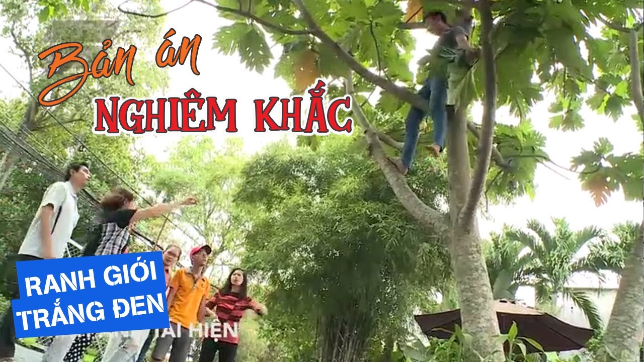 BẢN ÁN NGHIÊM KHẮC | RANH GIỚI TRẮNG ĐEN | VIVU TV