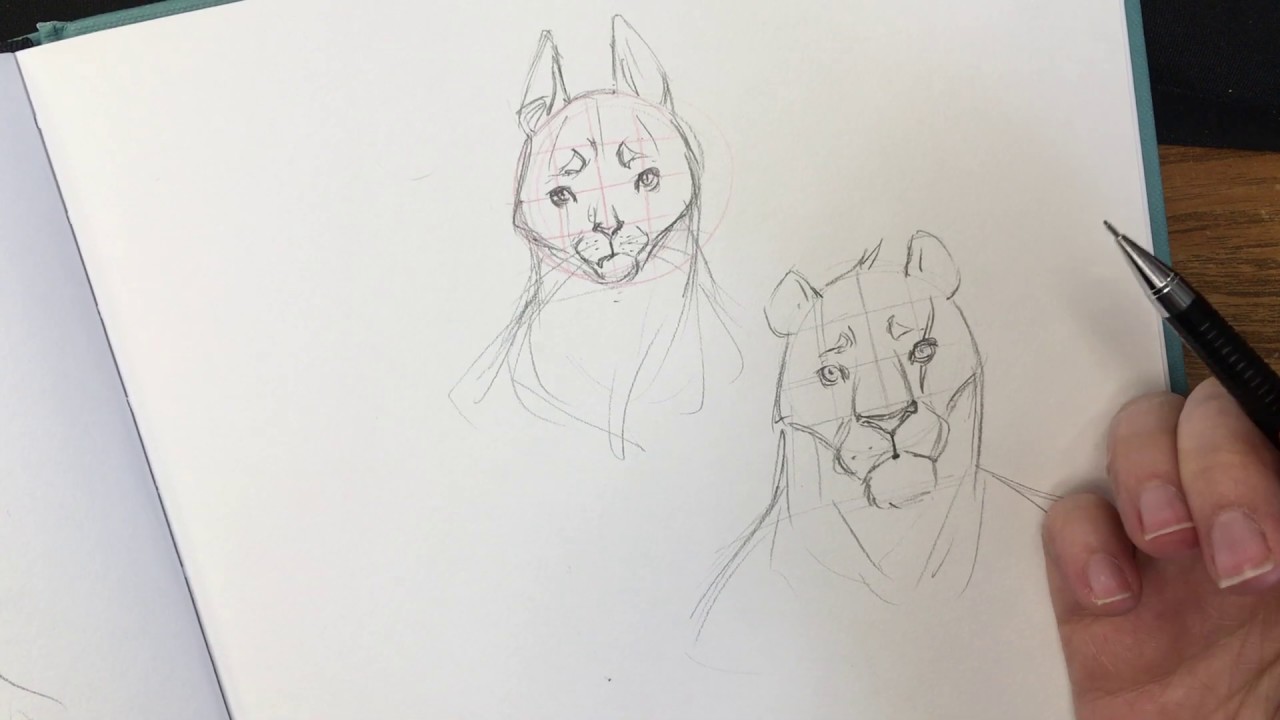 Drawing Tabaxi Heads.