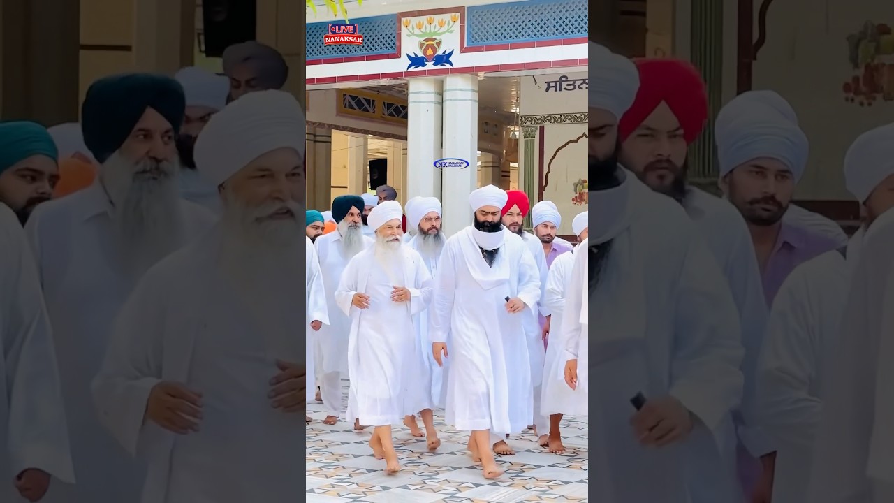 Sant Baba Gurjeet Singh Ji Nanaksar and Sant Baba Sewa Singh Ji Nanaksar🌹🙏 #nanaksarlive #babaji