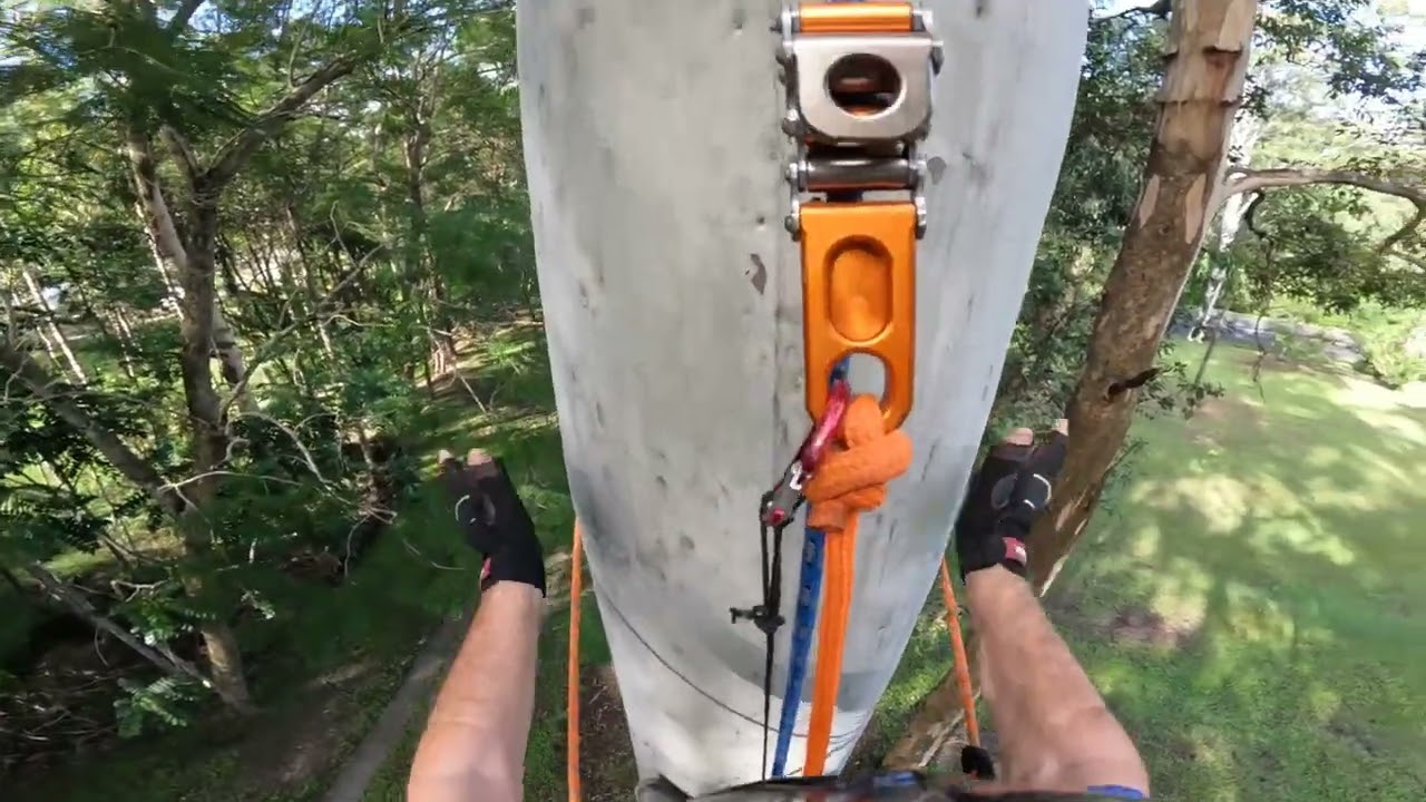 A quick climb to check my strength before doing some big trees.