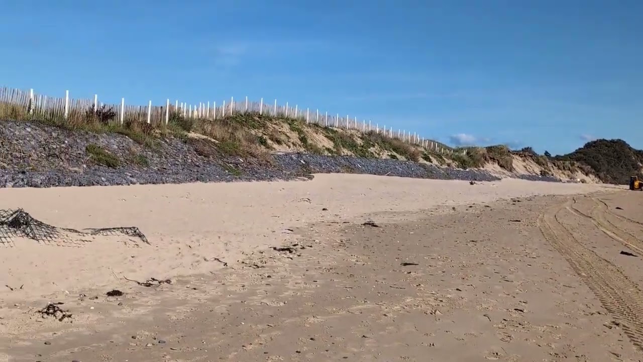 Project Natuur  Maarten Willems
