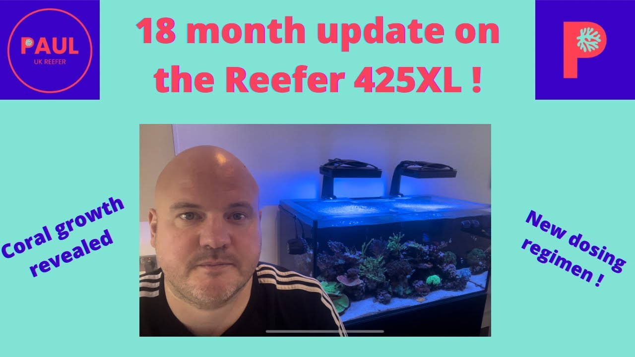 Red Sea Reefer 425 XL 18 Month Tank Update !