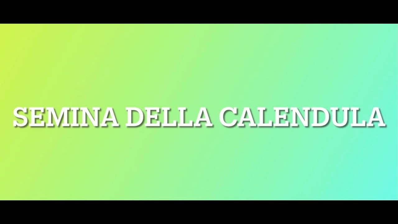 SEMINIAMO LA CALENDULA (Attività e approfondimenti)