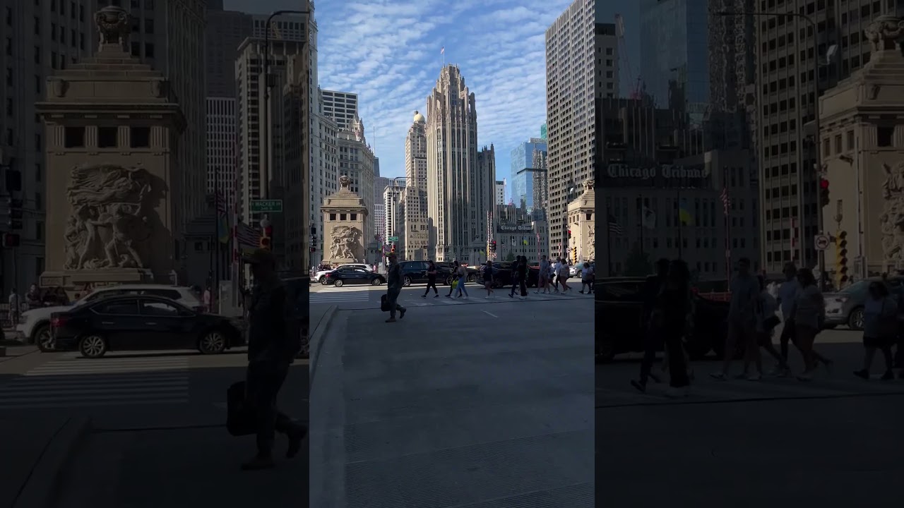 What a Day in Chicago Looks Like in 15 Seconds! 😍