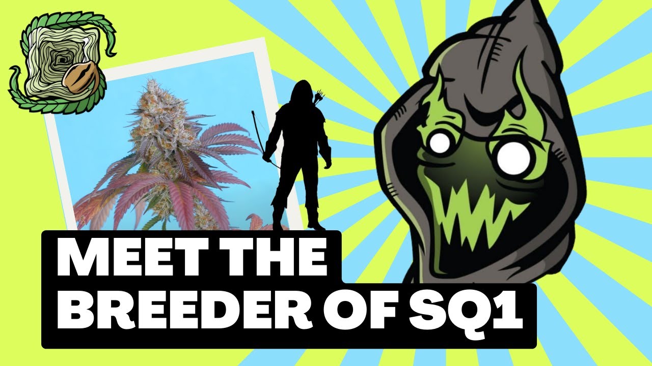 Wanna Know Who's Behind Square 1 Genetics & Robin Hood Seeds? Meet Breeder THC TITAN!