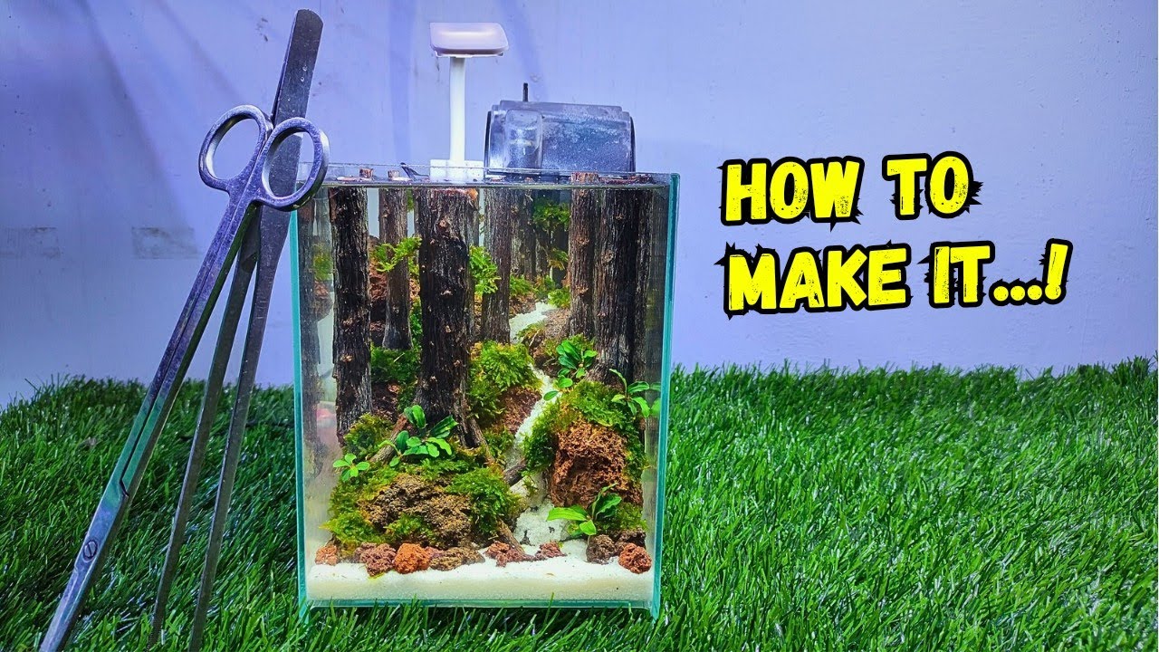 tutorial aquascape hutan mini
