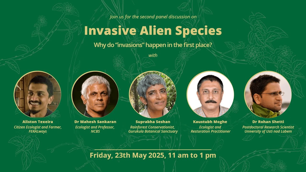 [ERA Webinar]: Invasive Plants Part II: Why Do Invasions Happen in the First Place?