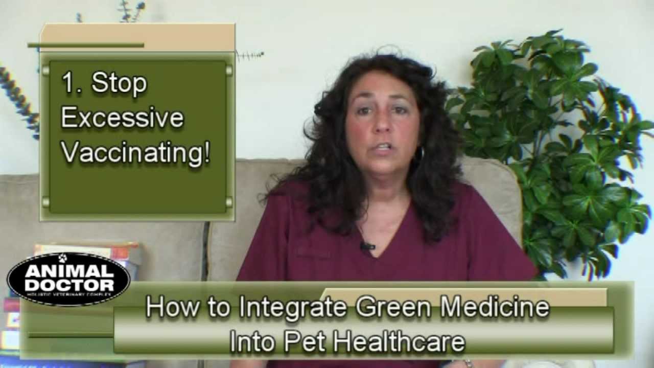 How to Integrate Green Medicine Into Pet Healthcare - Intro
