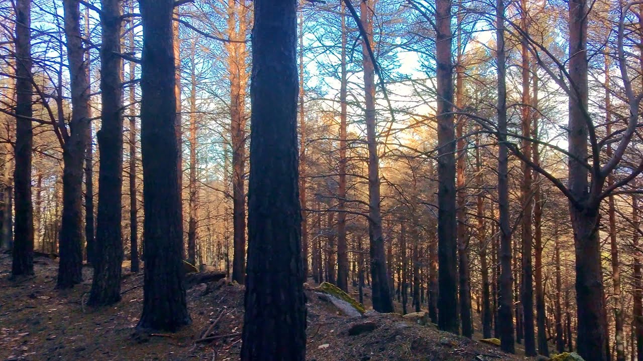 Incendio de Hervás