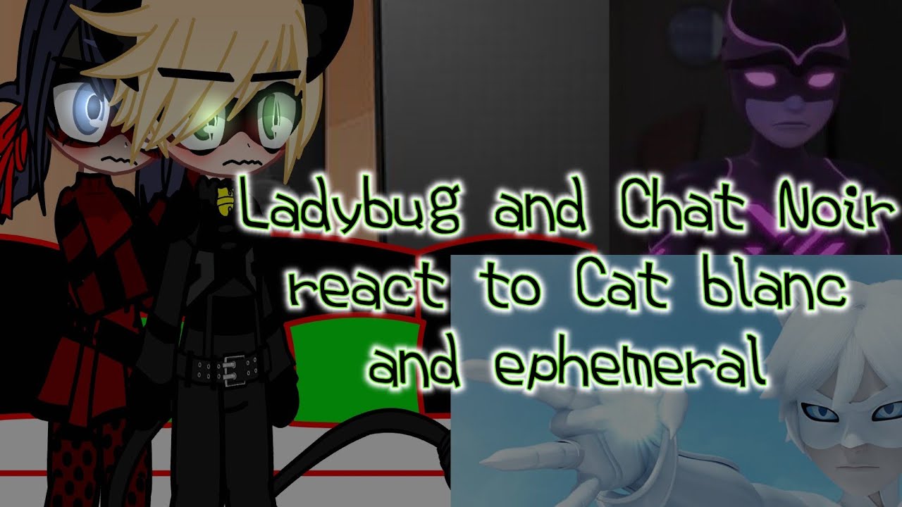 Ladybug and Chat Noir react to Cat blanc and ephemeral //reaction//🐞🐈‍⬛ (adrinette?)