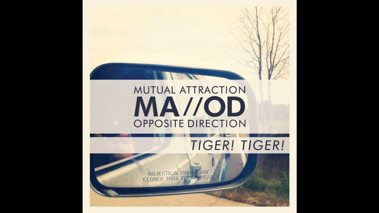 Tiger! Tiger!  -  I'll See You In Portland