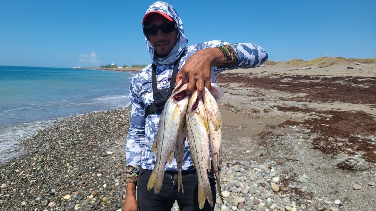 Snook Frenzy | Multiple Hook Up