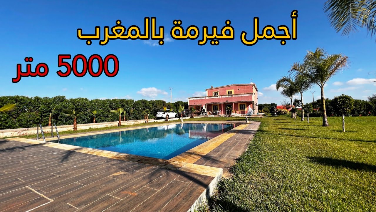 أجمل فيرمة بالمغرب 🇲🇦 للبيع🏅 مساحة 5000 متر 😍 موقع قرب مدينة المحمدية والدار البيضاء 🔥 ثمن همزة 😲