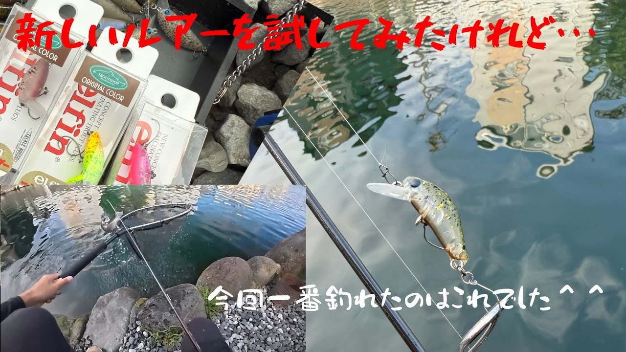 【朝霞ガーデン】９月２７日釣行記録【エリアトラウト】