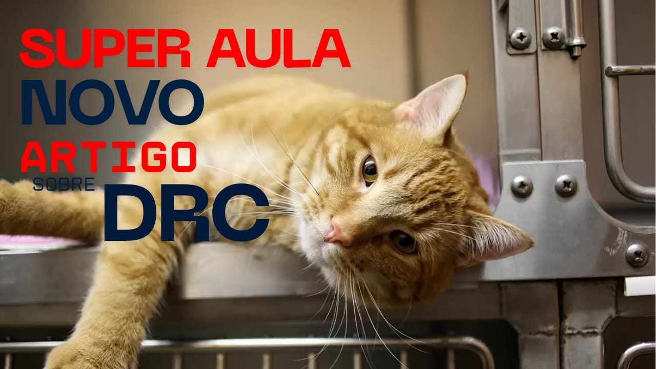 NOVO ARTIGO 2025 SOBRE DOENÇA RENAL CRÔNICA | CATS ACADEMY