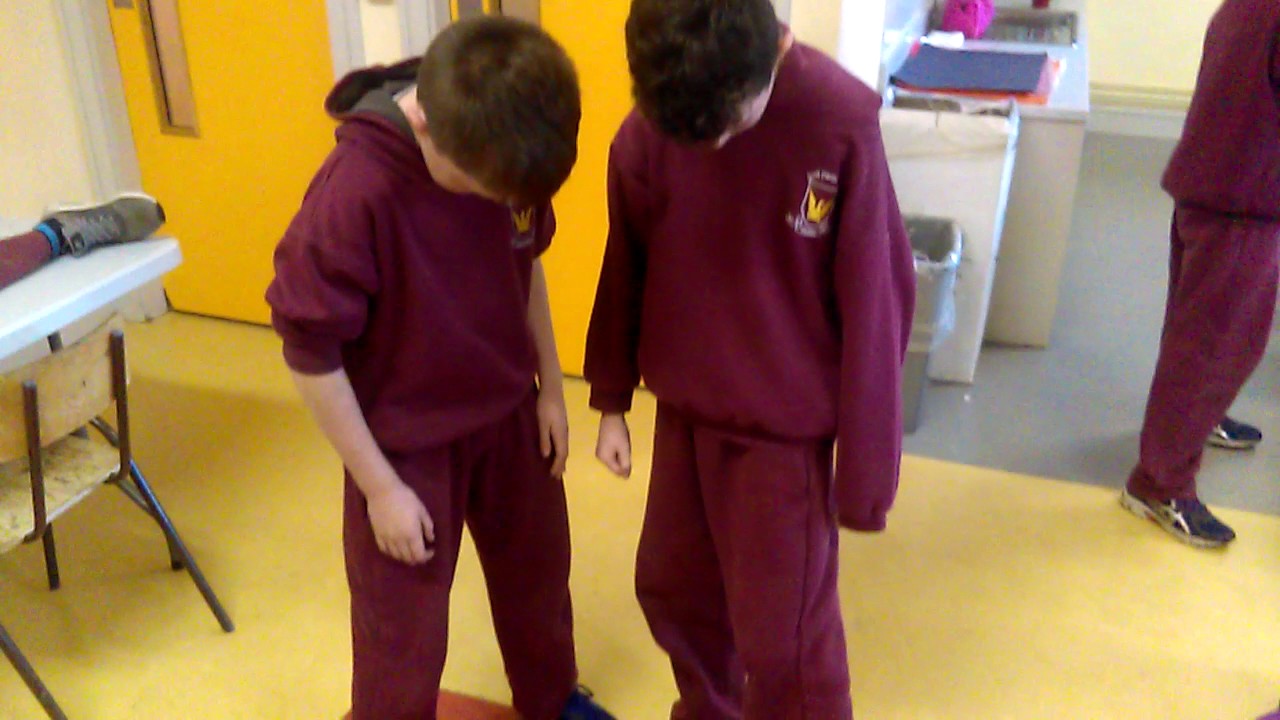 Breaffy NS Mr.Moran 5th class mannequin challenge