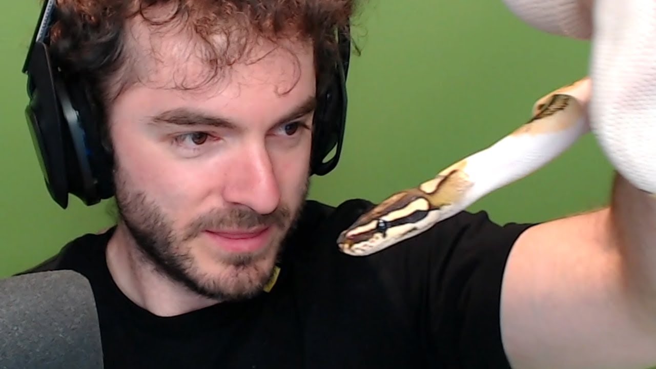 Man Vs. Snake
