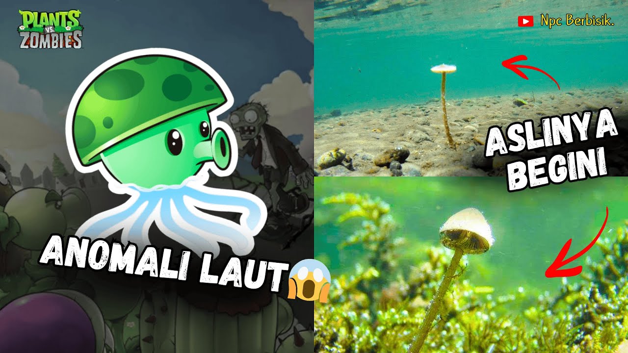 Asal Usul Sea Shroom Jamur Air Bocil di Plants Vs Zombies