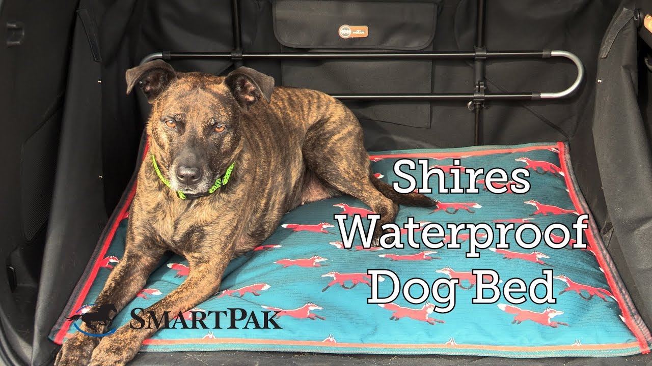 Shires Waterproof Dog Bed Review