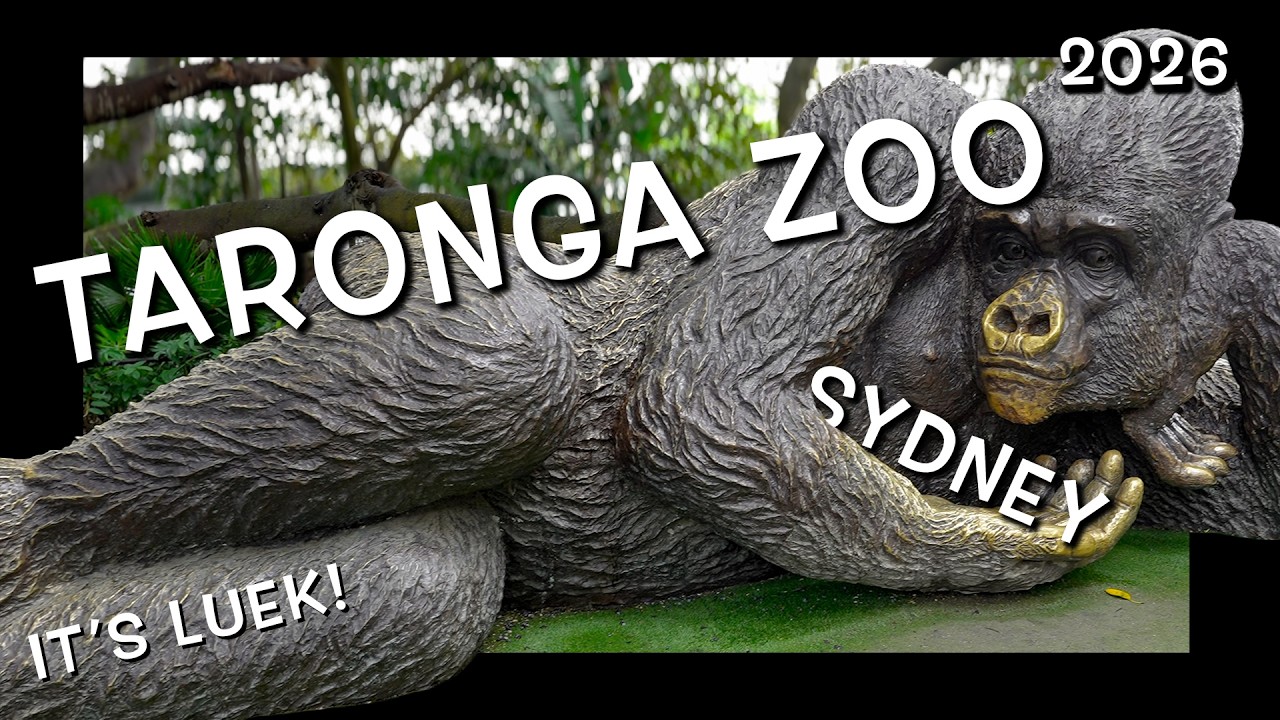 A Day Out Exploring Taronga Zoo Sydney Australia