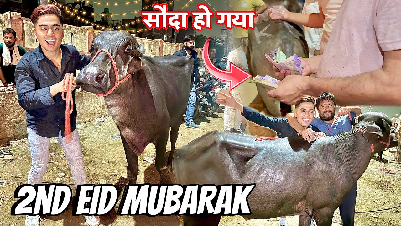 Eid Ul Adha Day 2 🐐|| BHAINS LENA A GAY OR ❤️|| SODA HO GYA?