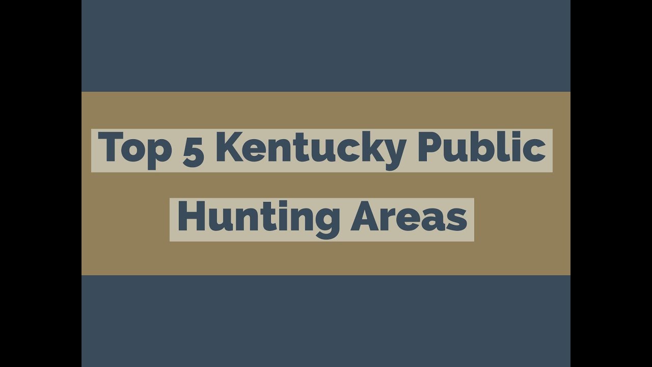 Top 5 Kentucky Public Hunting Area