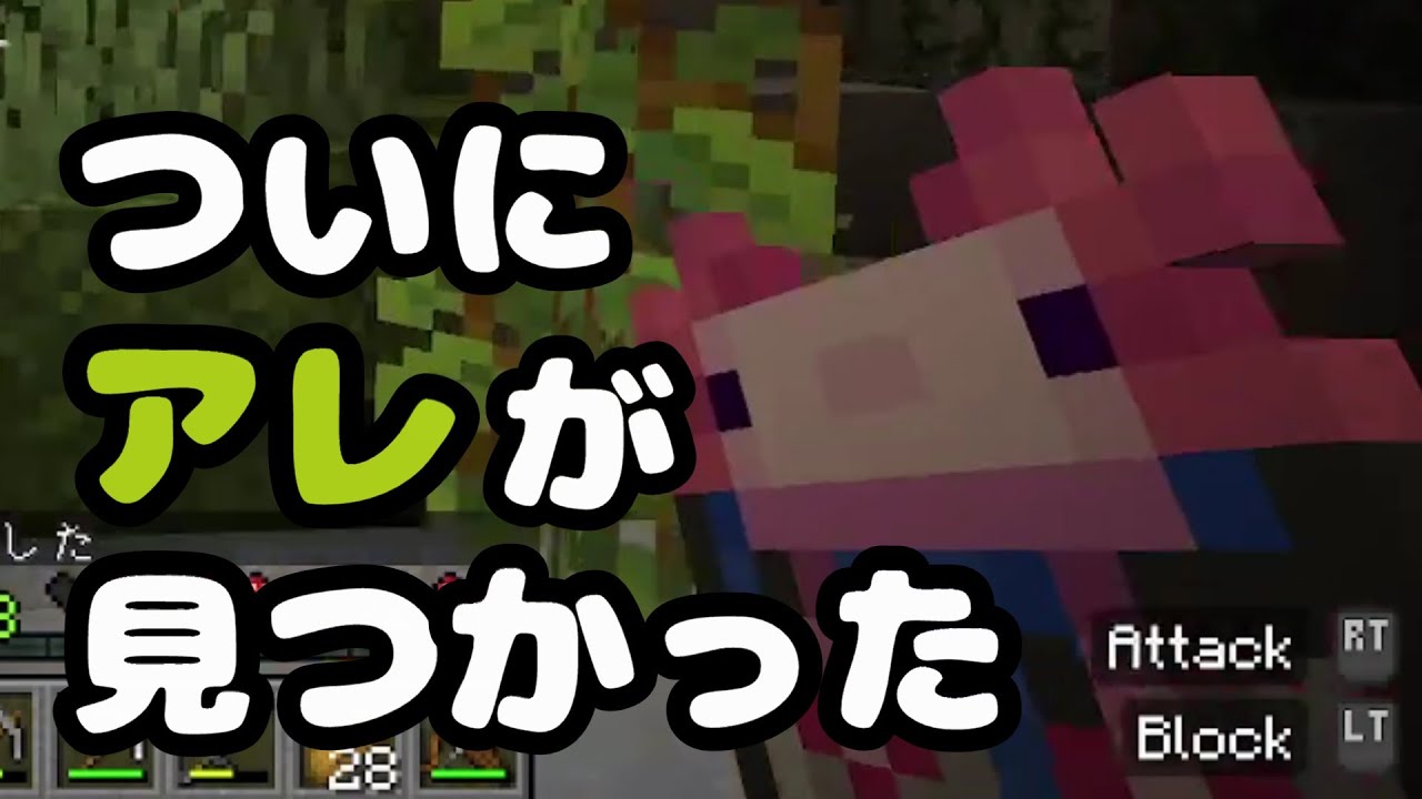 見つかっただけ【マイクラ】