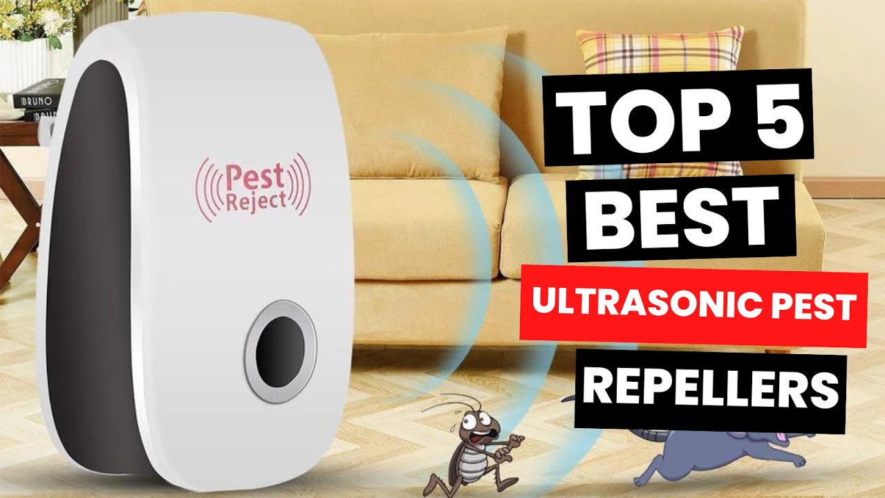 Top 5: Best Ultrasonic Pest Repellers (2024)