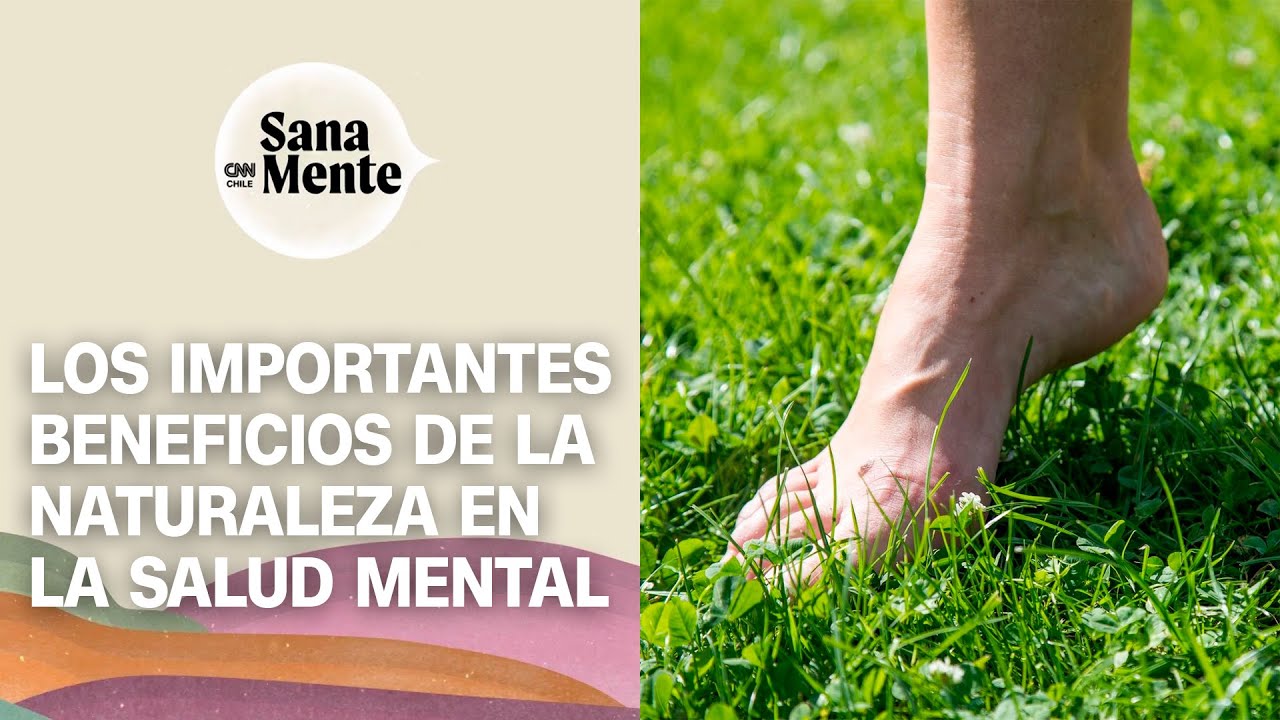 ¿Cómo conectarnos con la naturaleza y sus beneficios para la salud mental? | Sana Mente