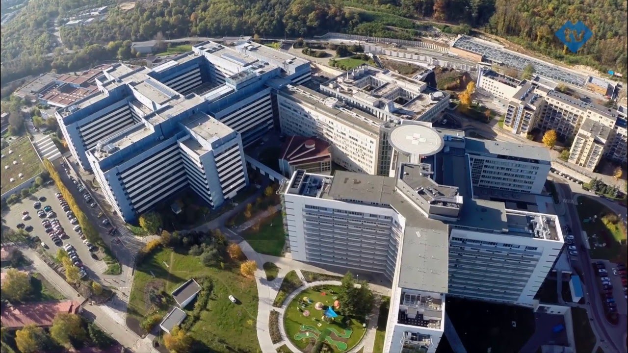 Zdravotn&iacute; sestry a zdravotničt&iacute; asistenti ve FN Motol