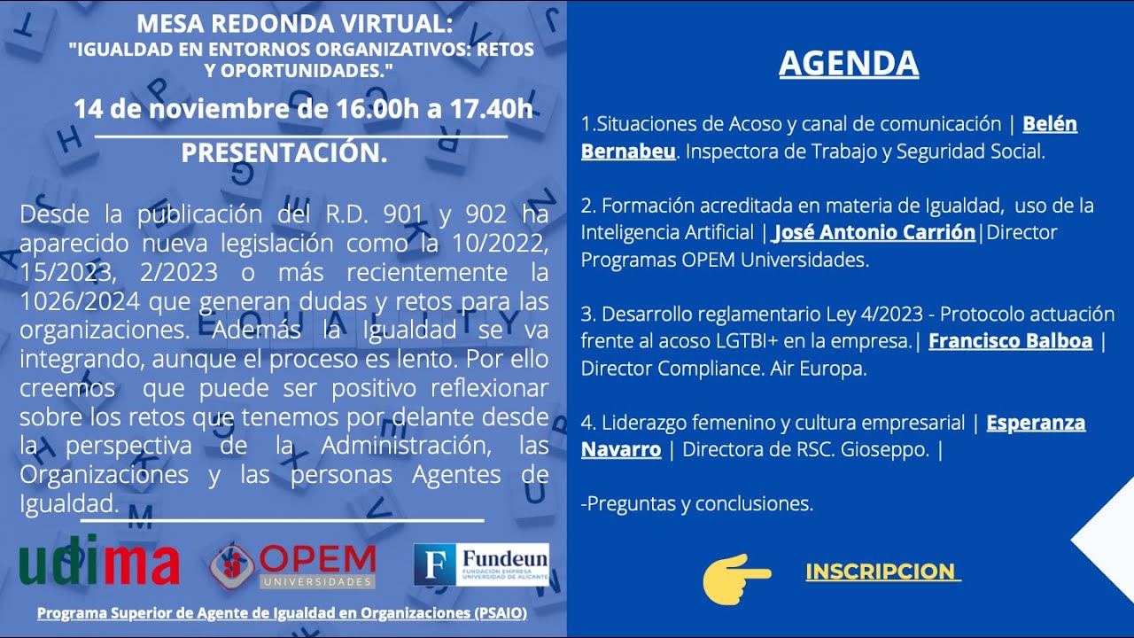 Mesa online Igualdad organizativa 11 2024