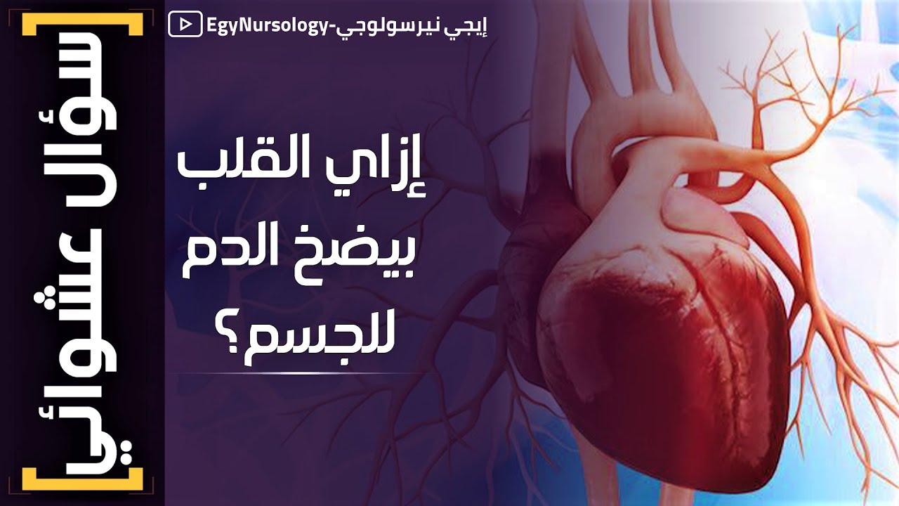 سؤال انترفيو للتمريض | (7) إزاي القلب بيضخ الدم للجسم؟! - Cardiac cycle