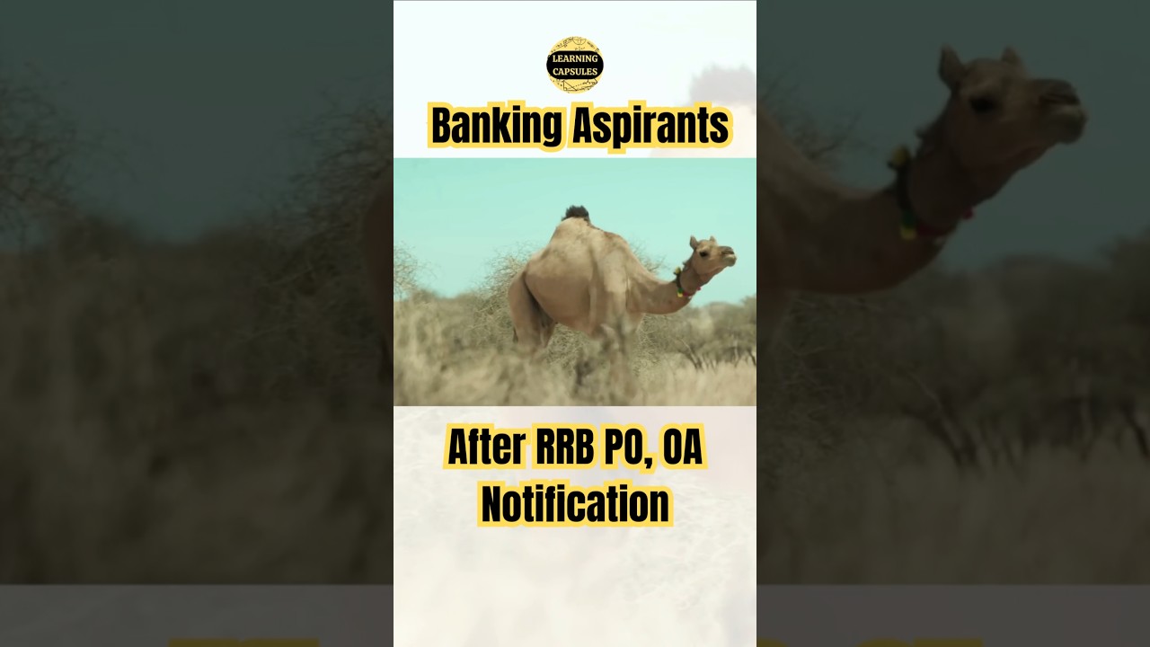 Banking Aspirants निकल पड़े हैं 🐪🐪 Rajasthan 😁😁 After RRB PO Notification, RRB CLERK 2025